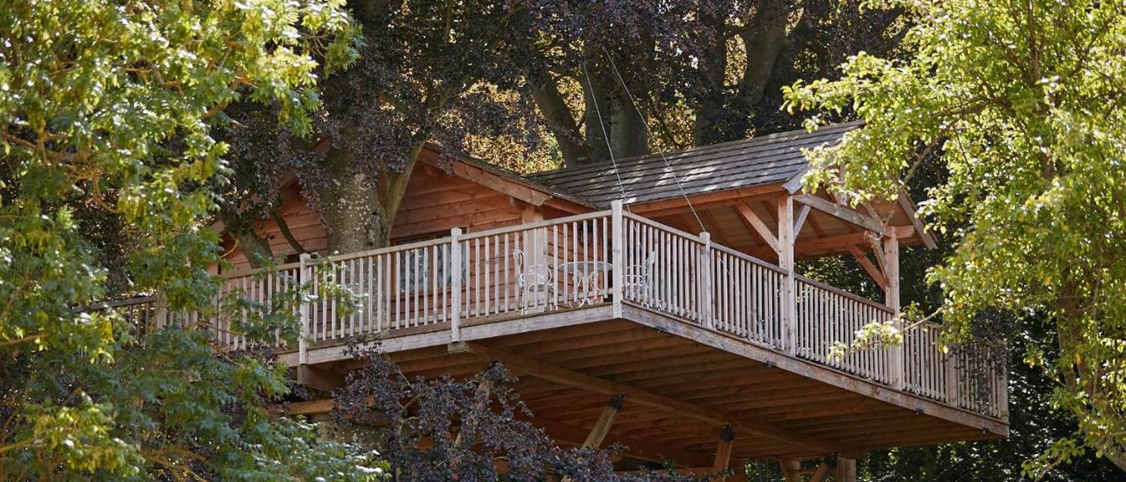 La cabane perchée du Château d'Audrieu, plateforme et terrasse de bois installées à sept mètres dans les hêtres pourpres