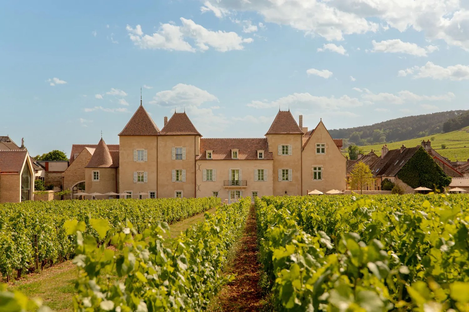 Le Château la Commaraine vu depuis les rangs de vigne du Clos, à Pommard en Bourgogne