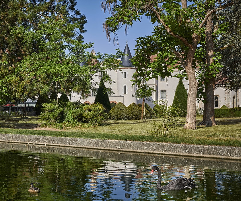 Le Château Saint-Jean vu depuis l'étang du parc, tourelle d'ardoise, ifs taillés et cygne noir sur l'eau