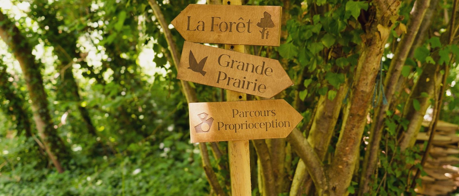 Des panneaux de bois fléchés dans la verdure de Dog Valley : La Forêt, Grande Prairie, Parcours proprioception