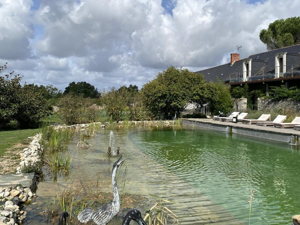 La piscine naturelle du Château de l'Épinay, ses plantes aquatiques et une sculpture de héron