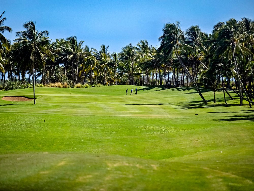 Un fairway d'Anahita Golf bordé de cocotiers sous un ciel bleu, sur la côte est de l'île Maurice