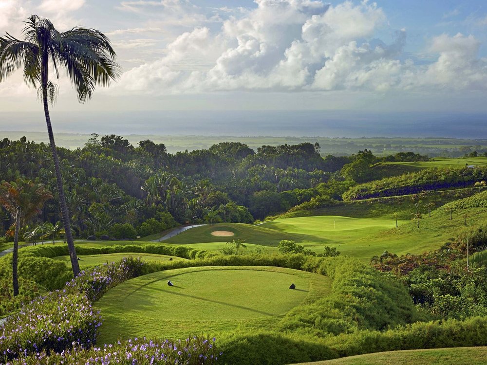 Le départ du trou 4 d'Avalon Golf Estate, un palmier, le fairway en contrebas et l'océan au loin