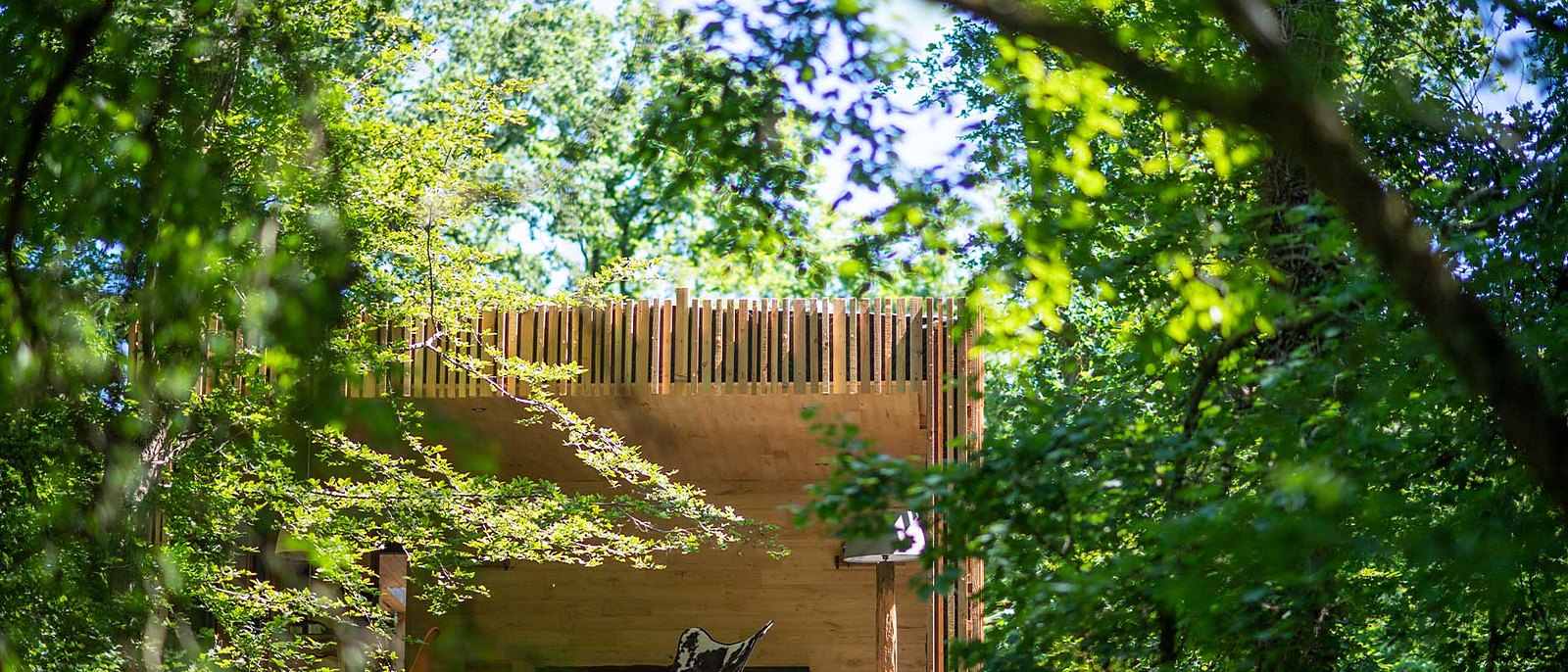 Un lodge de Loire Valley Lodges vu depuis la forêt, perché parmi les arbres
