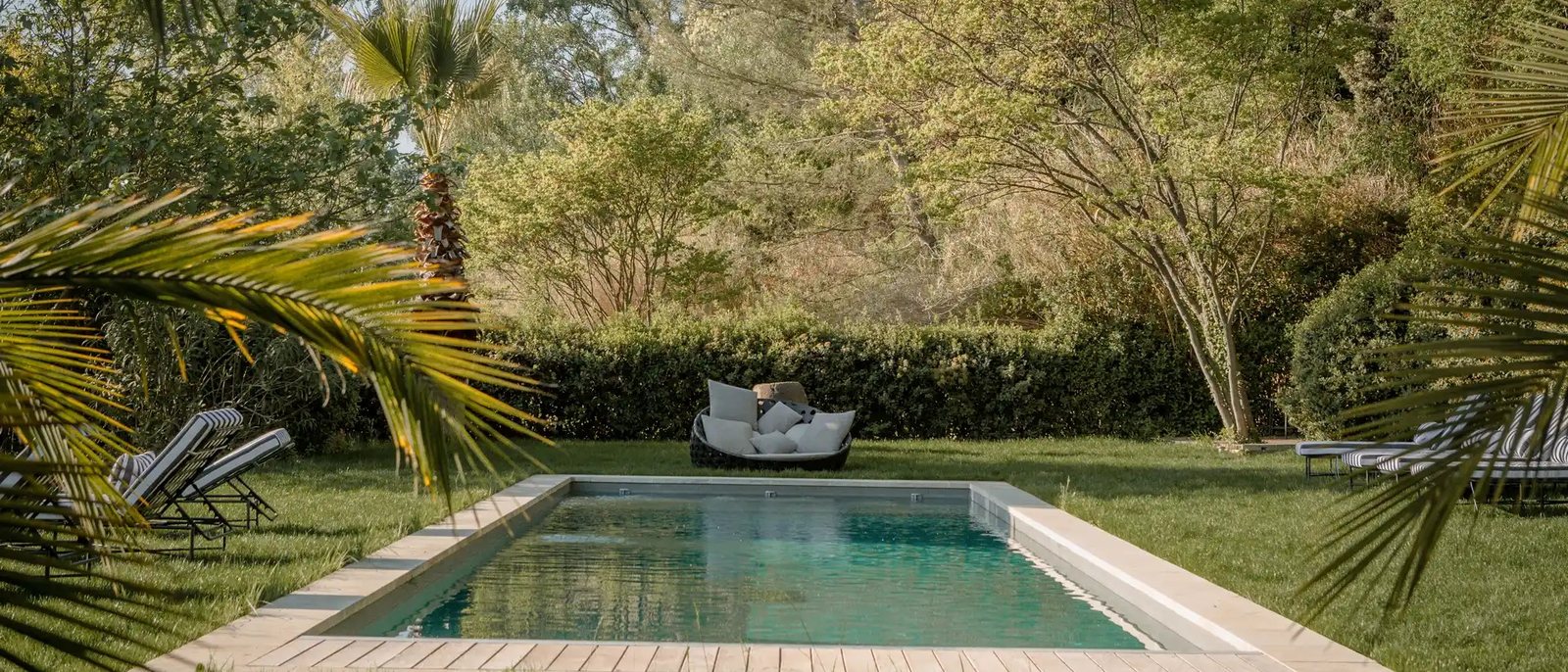 La piscine du Mas des Prêcheurs entre les palmiers et la pelouse, un lit de jour au bout