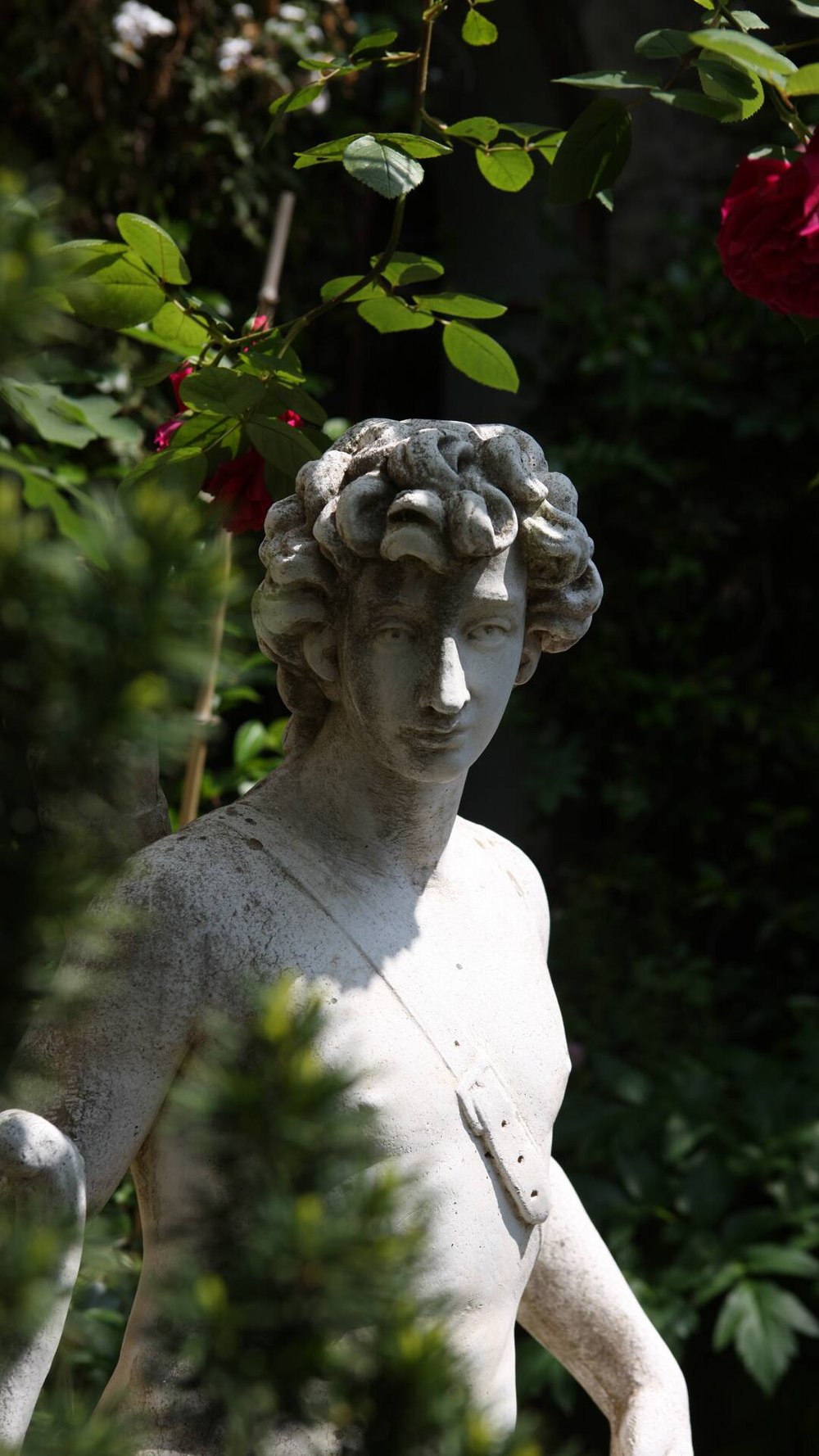 Le jardin planté de l'hôtel Jardins Secrets à Nîmes