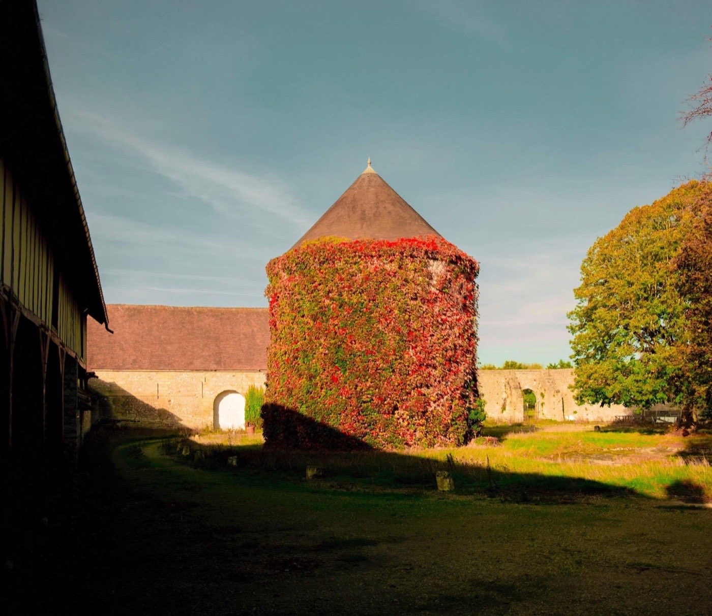 Le pigeonnier couvert de vigne vierge de la ferme de la Maregagne, dans le Vexin