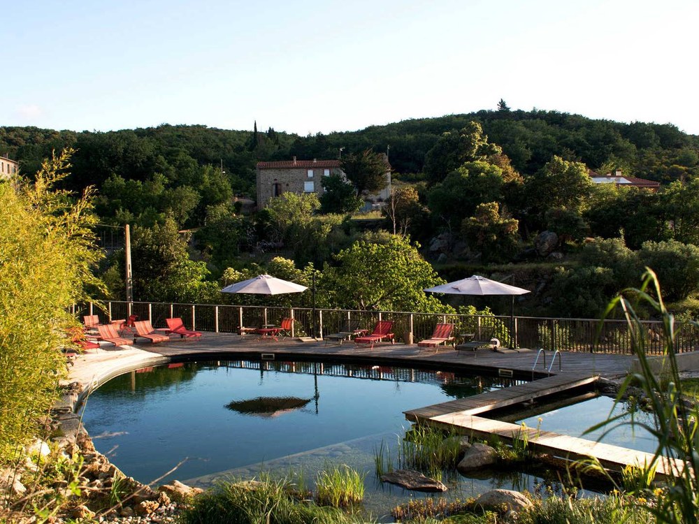 La piscine naturelle du Domaine Riberach à Bélesta, filtrée par les plantes, transats rouges et collines des Fenouillèdes