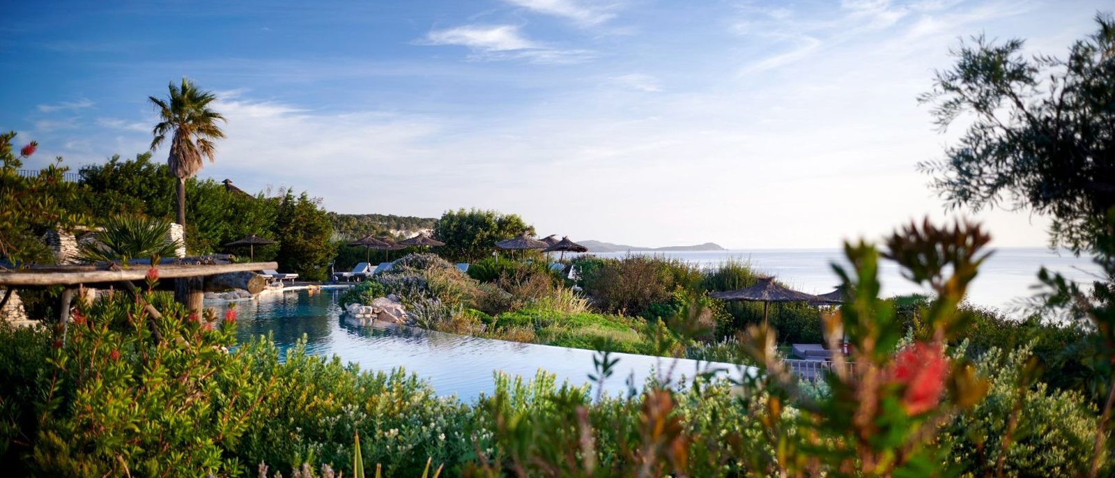 La piscine lagon à débordement d'U Capu Biancu, entre les fleurs et la mer