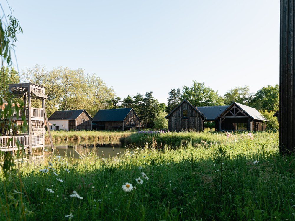 Le hameau du Marais des Sources de Cheverny, maisons de bois sombre au bord d'un étang et prairie fleurie