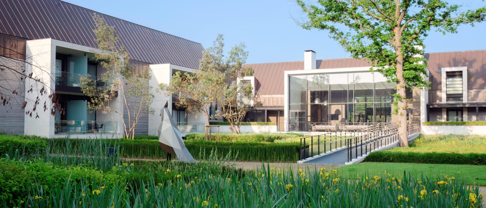 Les chambres du Domaine des Vanneaux et leurs terrasses vitrées, au-dessus d'un jardin de hautes herbes et d'iris jaunes