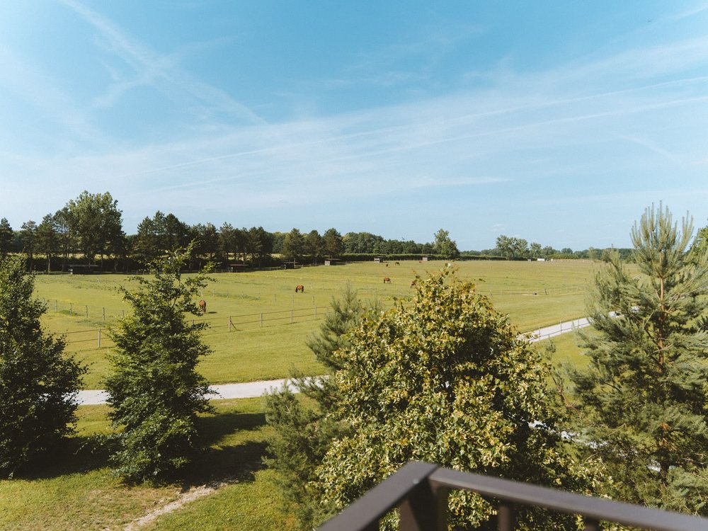 Les paddocks du Haras de la Cense vus depuis une terrasse du Barn, prairies et pins sous un ciel d'été